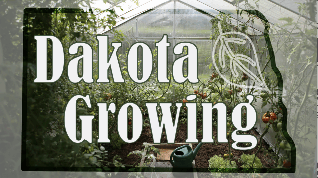 Dakota Growing